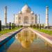 Comprar Té Taj Mahal, beneficios y propiedades