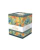 105-EQUATORIAL-BOX-80x100-1.jpg